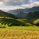 Vietnam-sapa