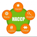 Quelles sont les normes HACCP ?