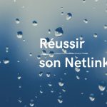 reussir-son-netlinking