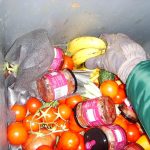La réduction du gaspillage alimentaire passe par l'innovation et un changement de mentalité