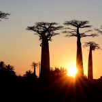 Madagascar