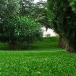 Tout savoir sur le Gazon Artificiel